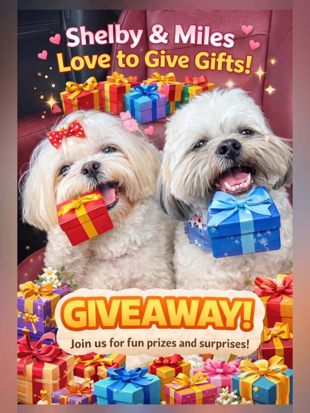 📣Enter the giveaway🎁